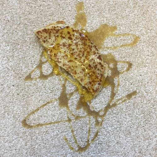 pancake syrup stain