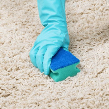 How To Clean A High-Pile Rug  