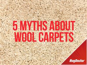 myths about wool carpets