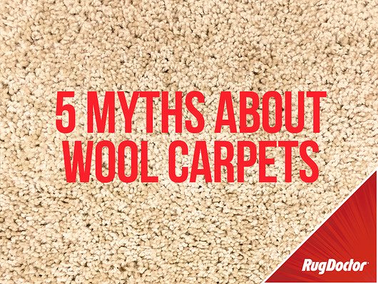 5 Myths about Cleaning Wool Carpets - Rug Doctor
