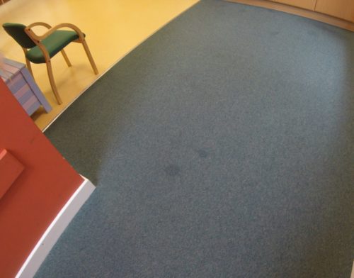 Rug Doctor Lends Local Charity a Helping Hand G0040321-500x392 Rug Doctor Lends Local Charity a Helping Hand