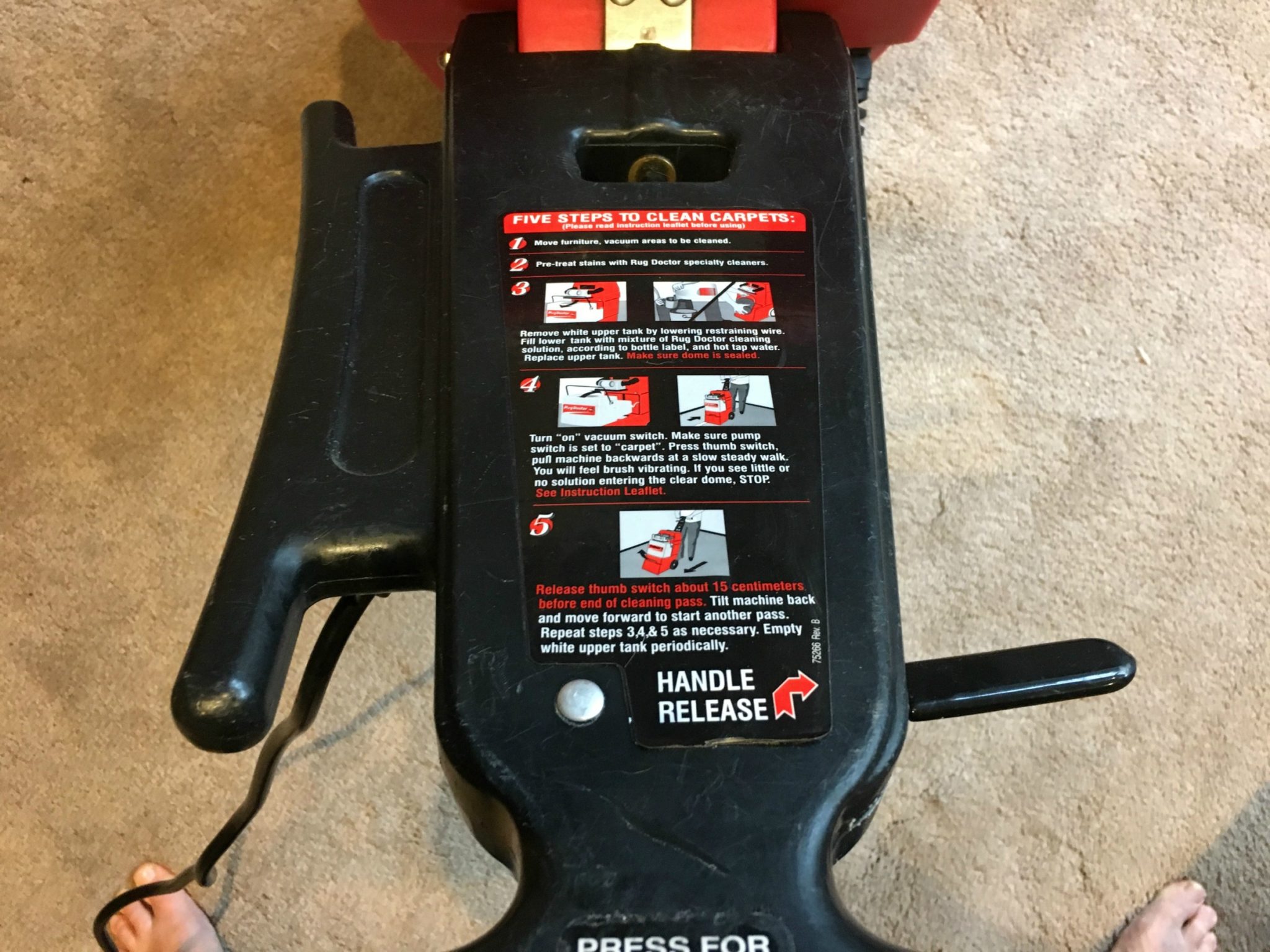 hiring the rug doctor