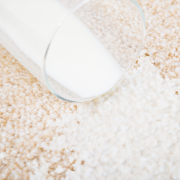 Glass of milk spilled on carpet