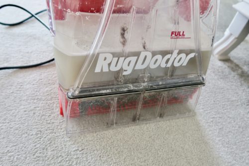fullsizeoutput_a90d-500x333 Deep Cleaning my Carpets with Rug Doctor (Guest Blog by We Made This Life)