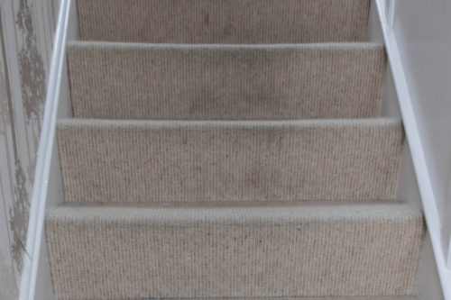 Rug Doctor Deep Carpet Cleaner Review (Guest Blog by Renovation Bay-Bee) BB23-500x333 Rug Doctor Deep Carpet Cleaner Review (Guest Blog by Renovation Bay-Bee)
