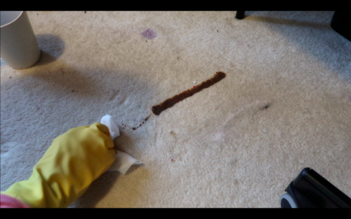 Rug Doctor Review (Guest Blog by Lotte Roach) Lotte-3-500x313 Rug Doctor Review (Guest Blog by Lotte Roach)