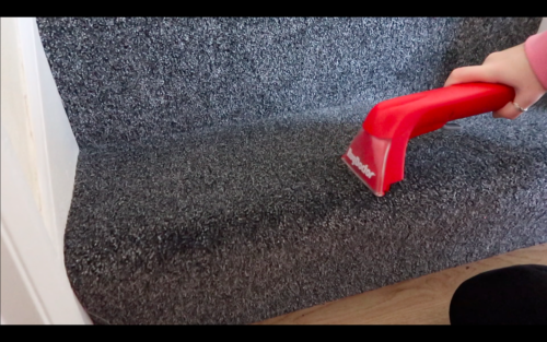 Rug Doctor Review (Guest Blog by Lotte Roach) Lotte-5-500x313 Rug Doctor Review (Guest Blog by Lotte Roach)