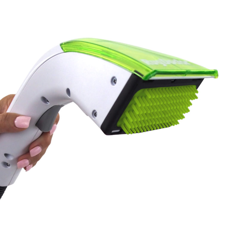 rug doctor pet portable spot cleaner