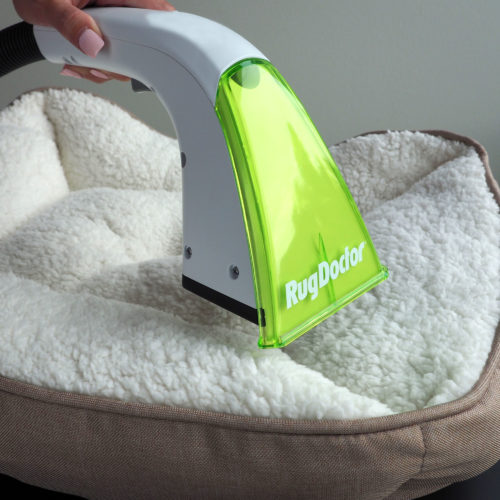 Rug Doctor Pet Portable Spot Cleaner
