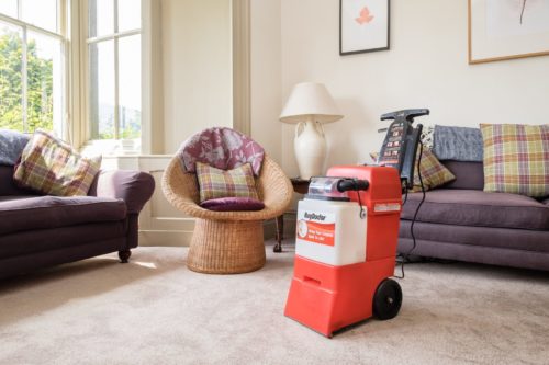 Rug Doctor Machine in Home