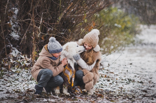 winter dog walk