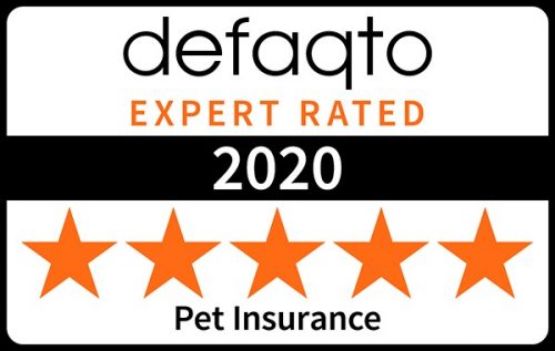 Pet Portable Spot Cleaner - Refurbished (ARCHIVED VERSION) Defaqto-logo-500x317 Pet Portable Spot Cleaner - Refurbished (ARCHIVED VERSION)