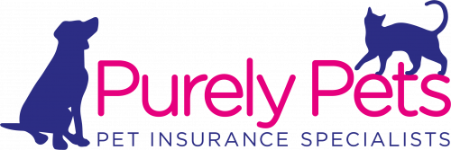 JN5693_-Purely-Pets-logo-update_JUNE19-500x167 Pet Insurance