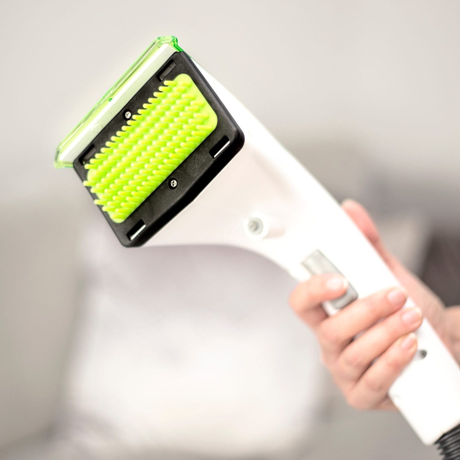 Rug Doctor Pet Portable Spot Cleaner