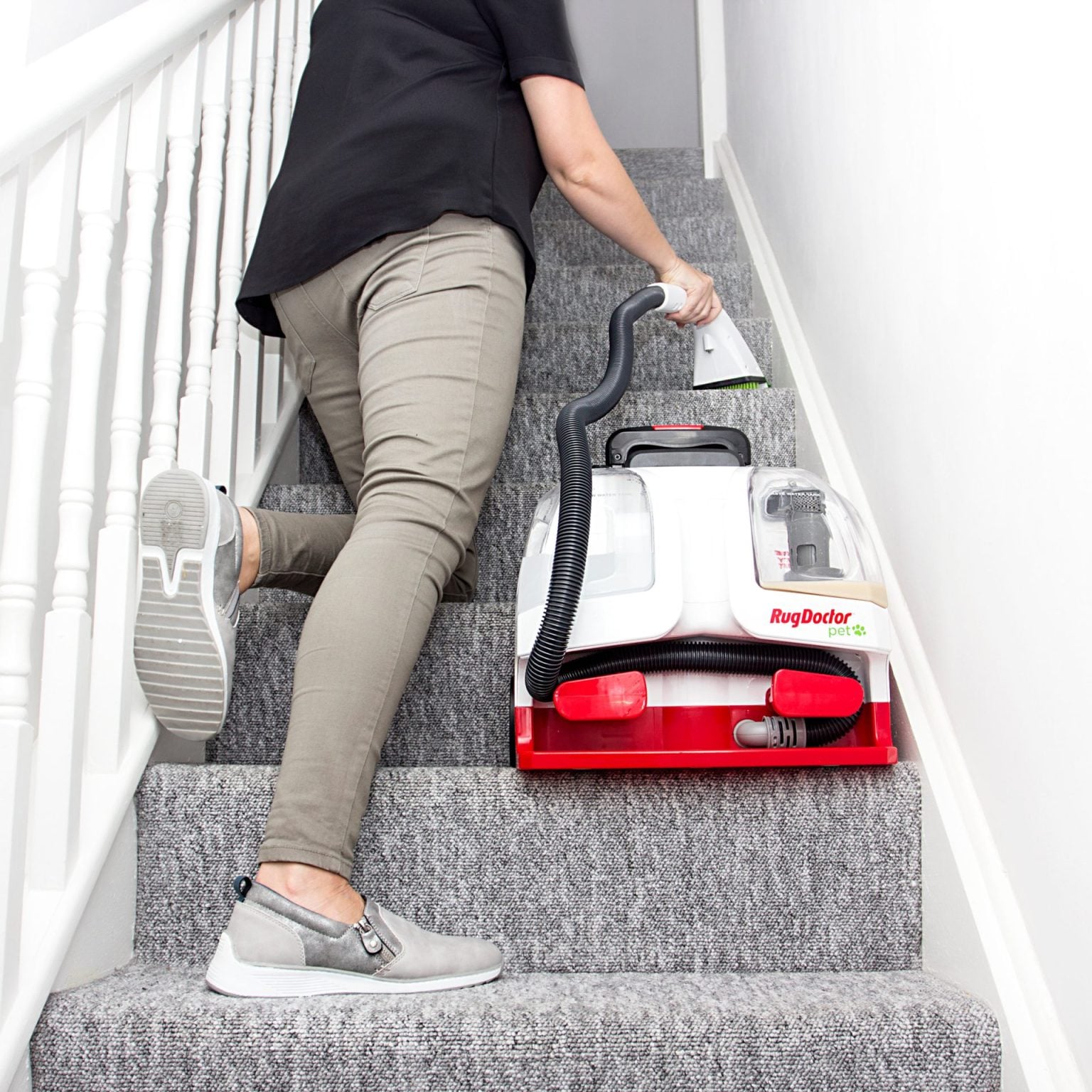 Rug Doctor Pet Portable Spot Cleaner