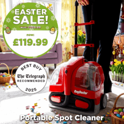 Portable Spot Cleaner